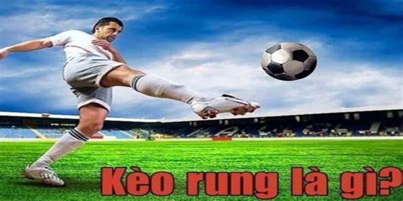 Giới thiệu về cược kèo rung trên nền tảng